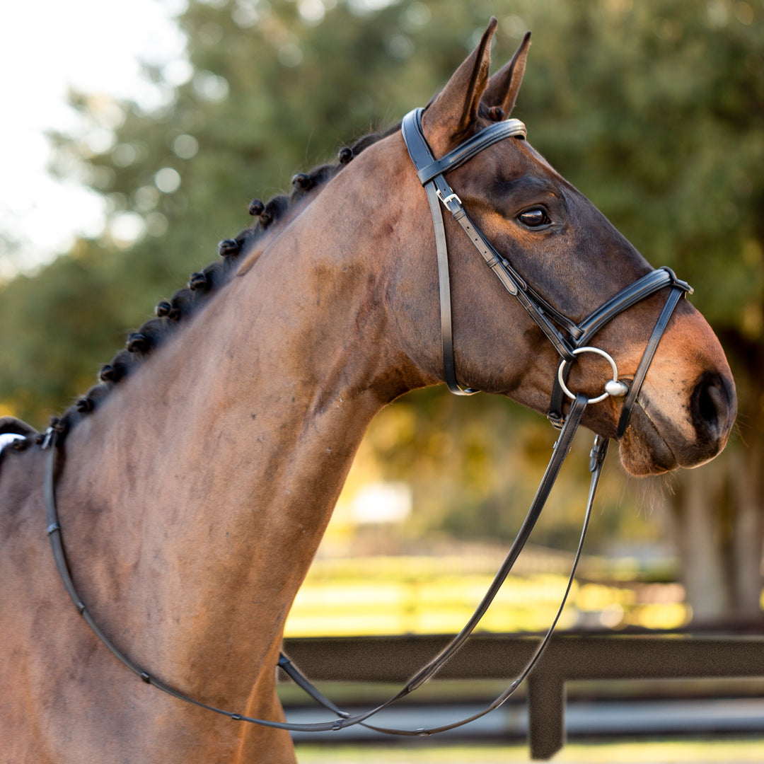 Equinavia Saga Padded Dressage Bridle &amp; Reins image 