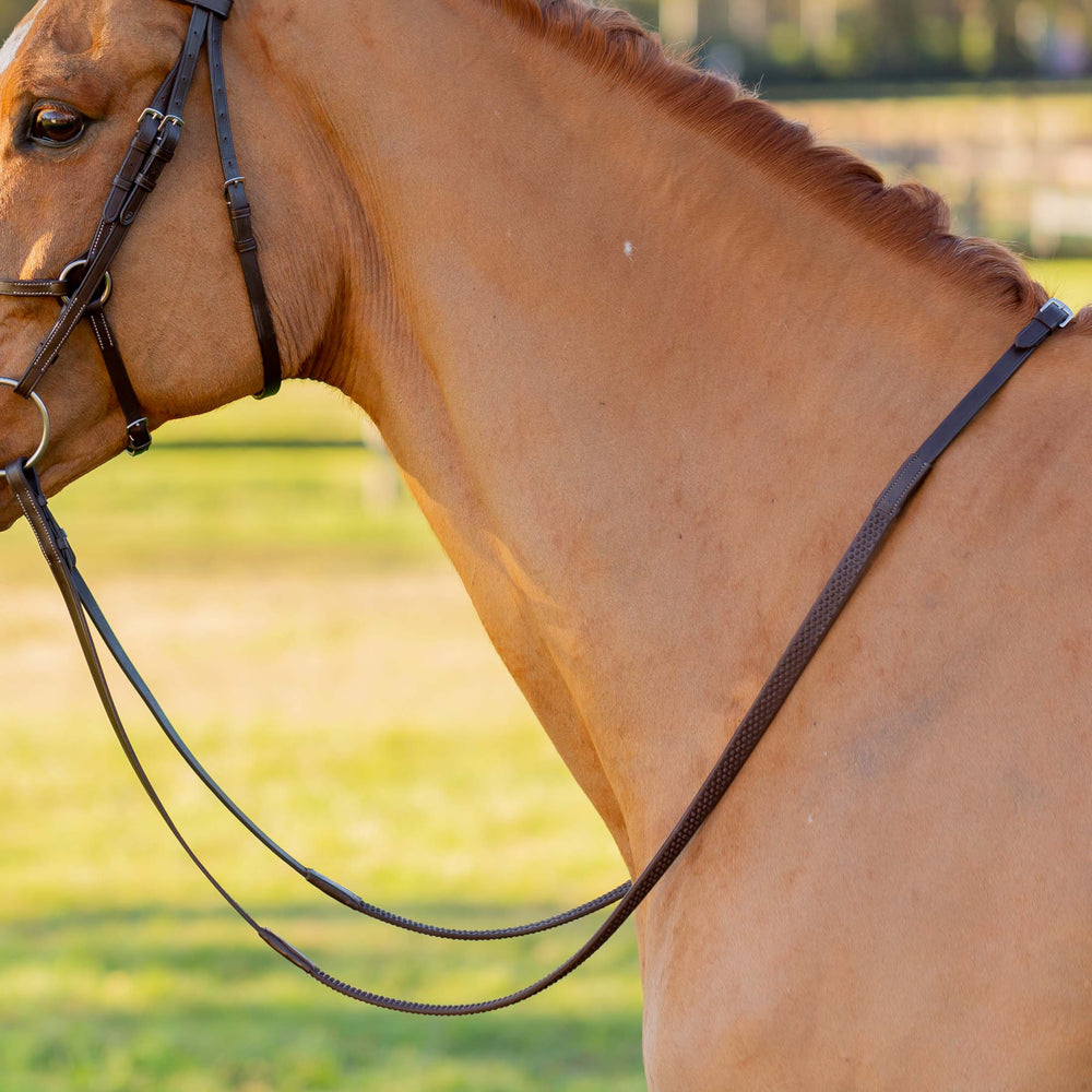 Equinavia Saga Fancy Stitched Figure 8 Bridle & Reins image #3