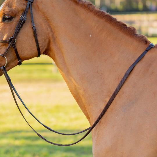 Equinavia Saga Fancy Stitched Figure 8 Bridle &amp; Reins image 