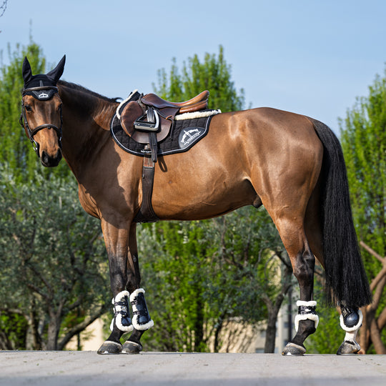 Veredus Carbon Gel Absolute Save the Sheep Rear Fetlock Boots image 