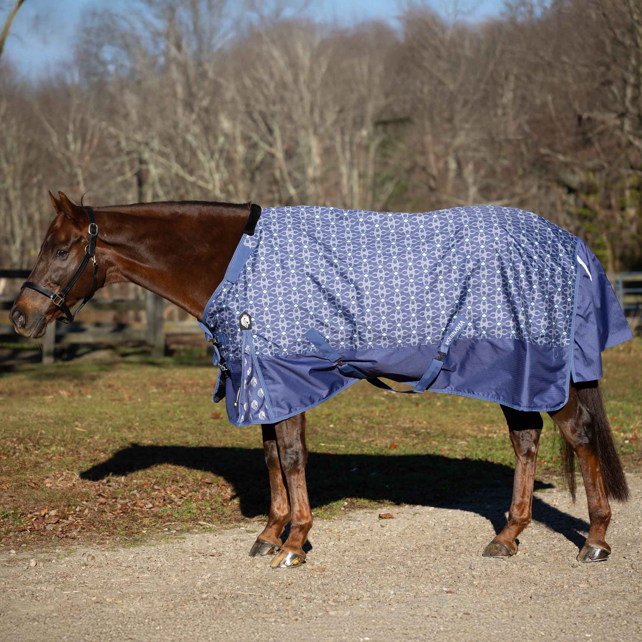 Equinavia Arktis Regular Neck Turnout Sheet image #1