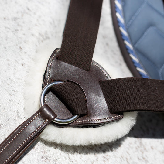 Equinavia Saga 5-point Breastplate image 
