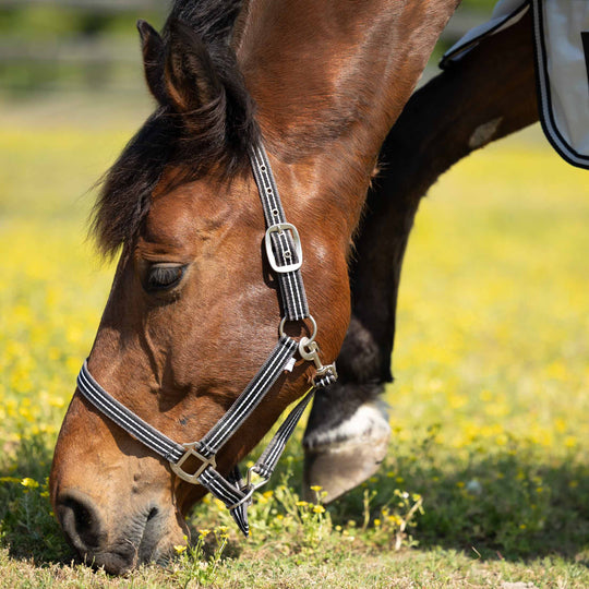 Horze Adepto Halter image 