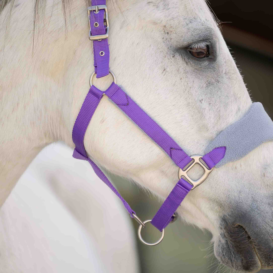 Equinavia Saga Fleece Padded Breakaway Halter image 