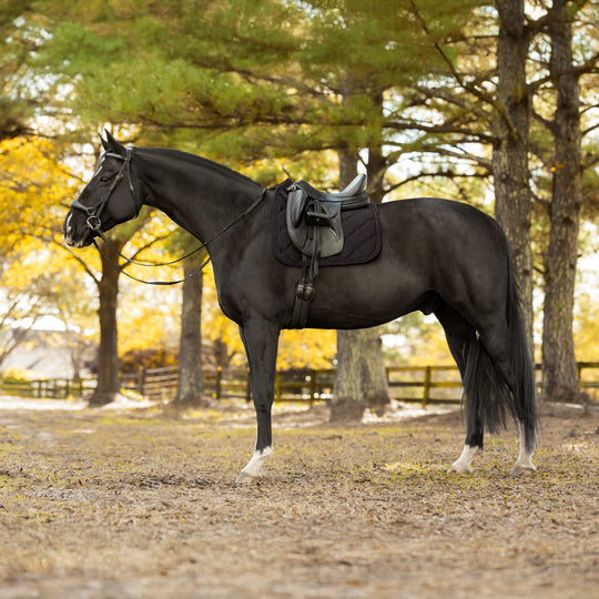Equinavia Bergen Crystal Dressage Saddle Pad image 