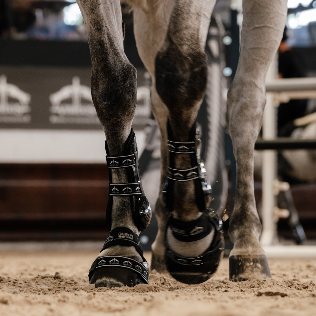 Veredus Carbon Gel Absolute Front Tendon Boots image 