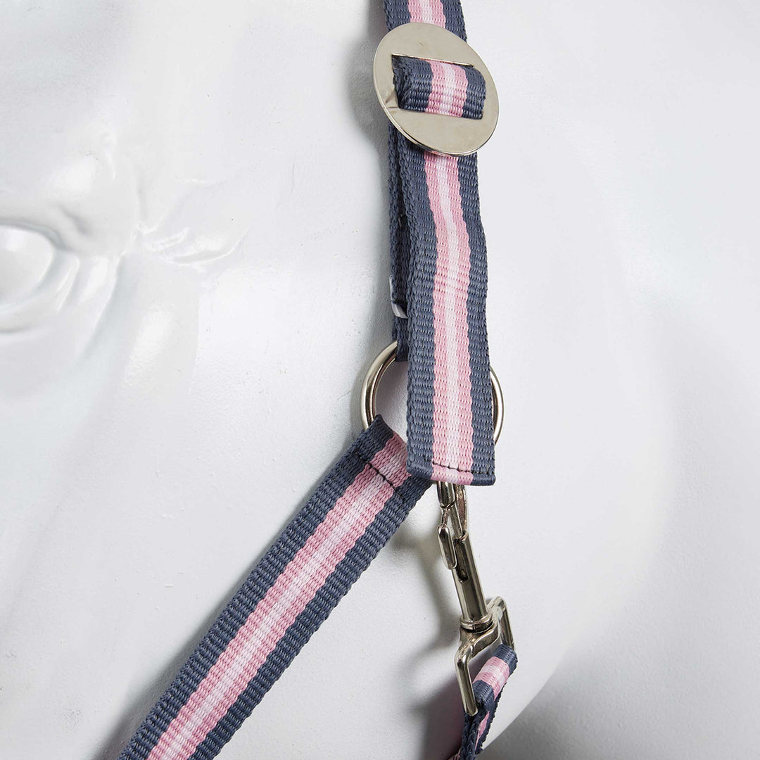 Horze Web Halter Set 3 Pcs image 