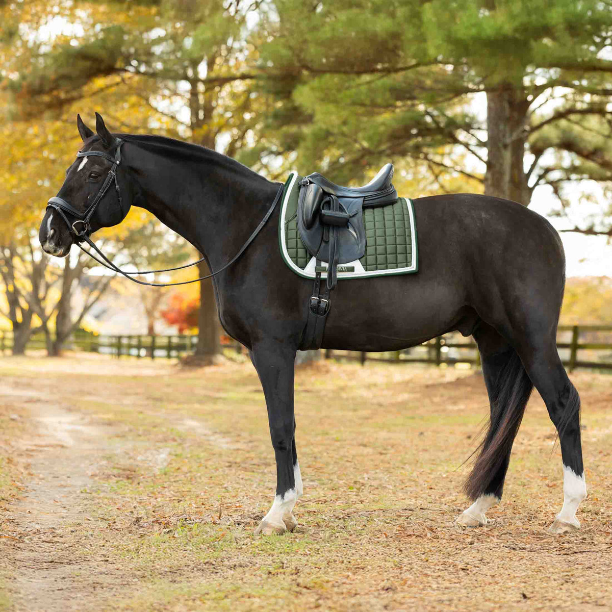 Equinavia Copenhagen Stay Put Dressage Saddle Pad image #1