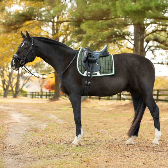 Equinavia Copenhagen Stay Put Dressage Saddle Pad image 