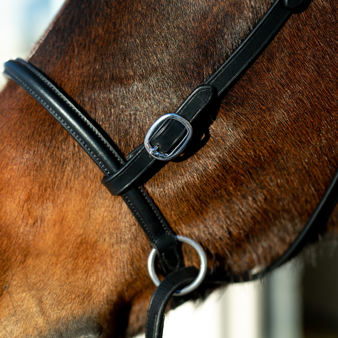 Horze Leather Bitless Bridle image 