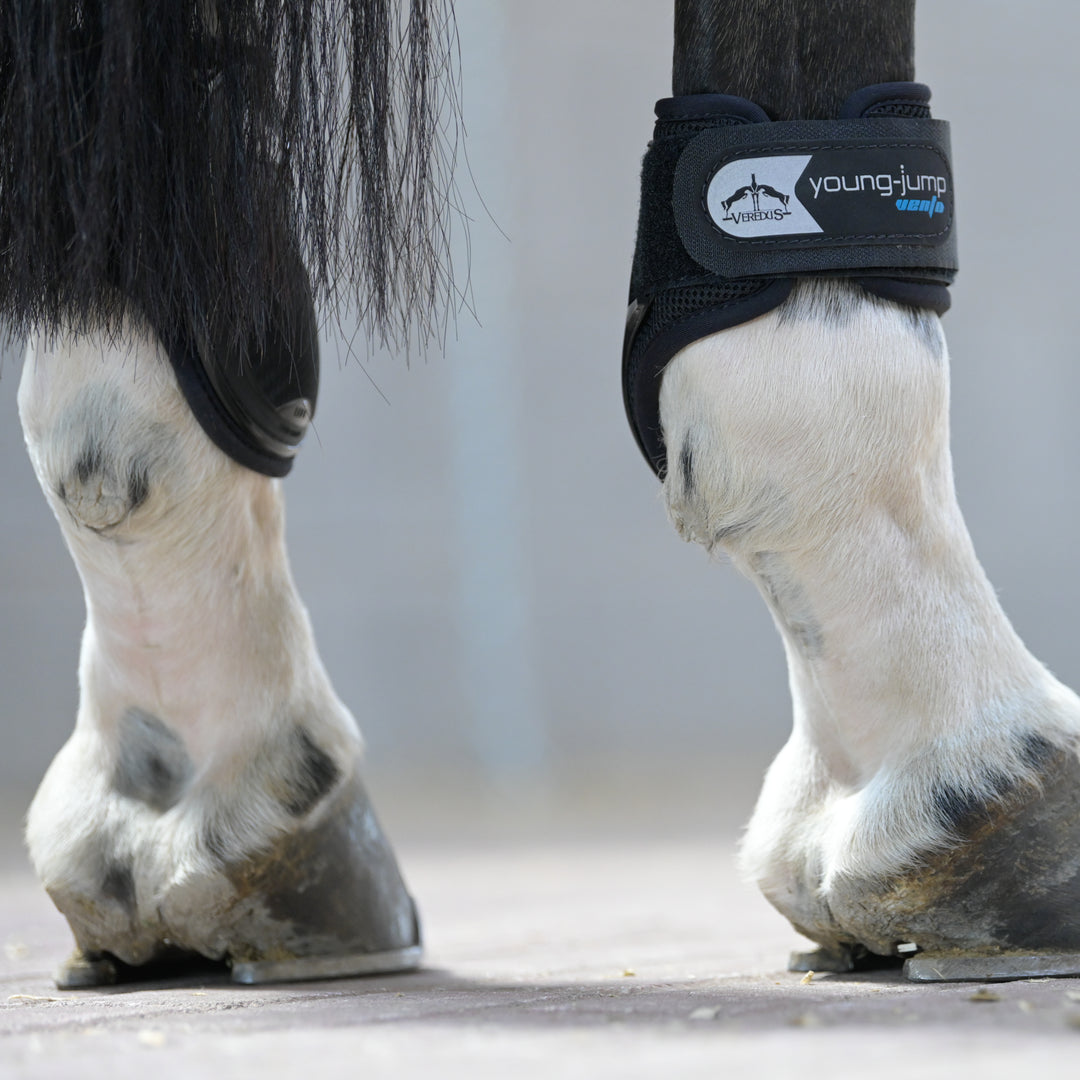 Veredus Young Jump Vento Rear Fetlock Boots image 