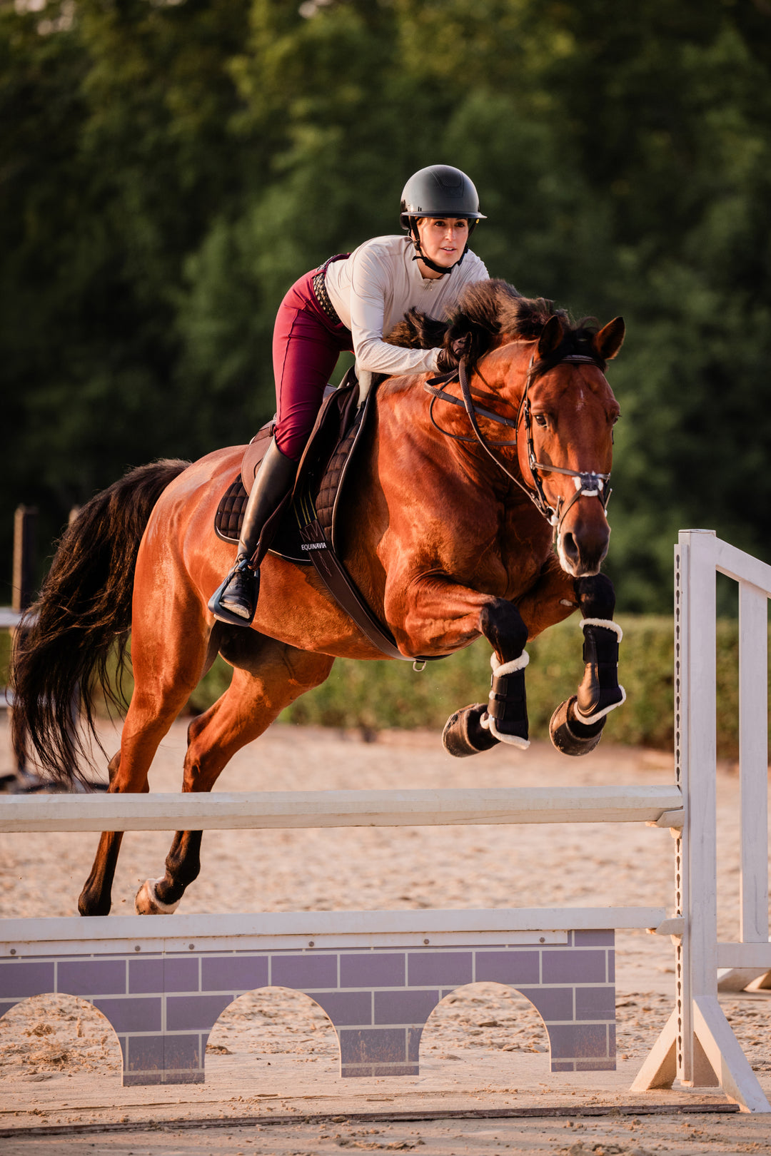 Equinavia Crown Glossy Mips® Riding Helmet image 