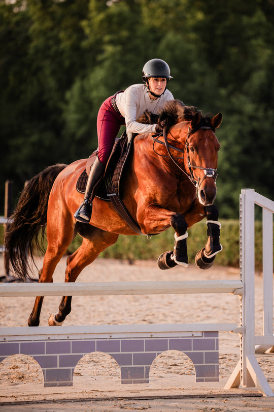 Equinavia Crown Glossy Mips® Riding Helmet image 