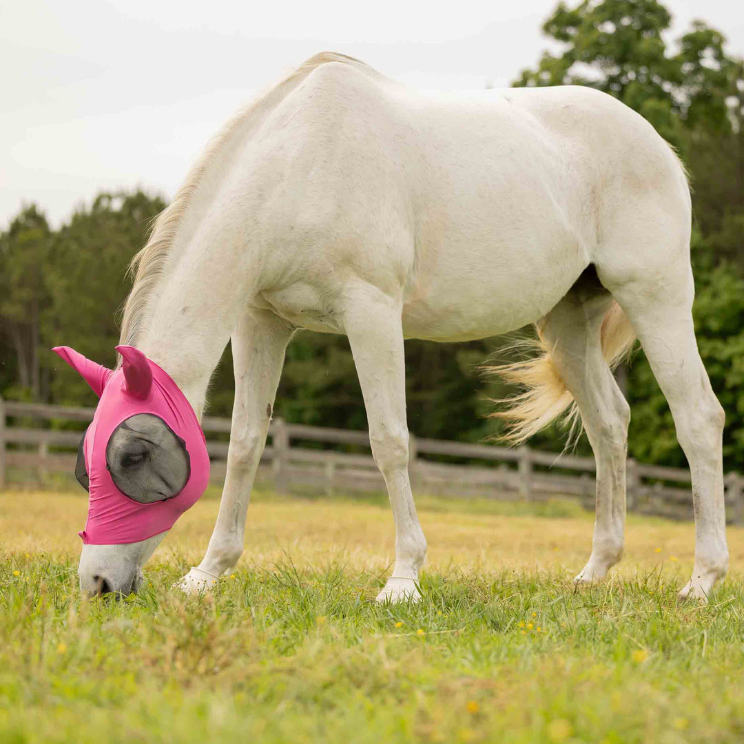 Equinavia Bug Out Fly Mask image 