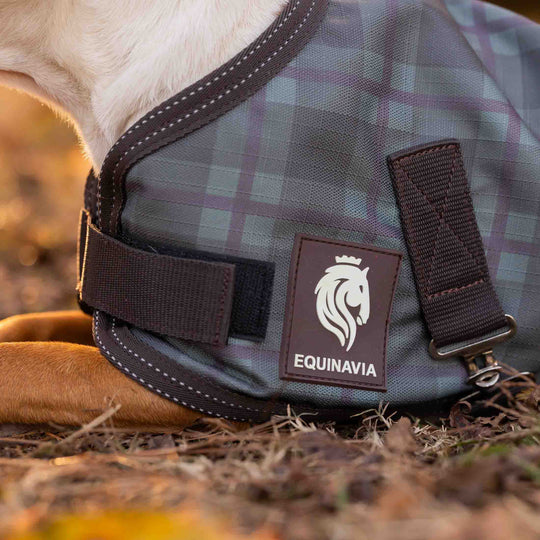 Equinavia Arktis Dog Turnout Blanket 200g image 