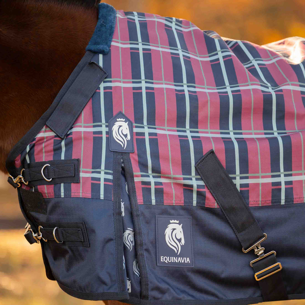 Equinavia Norse Pony Turnout Blanket 300g image #2