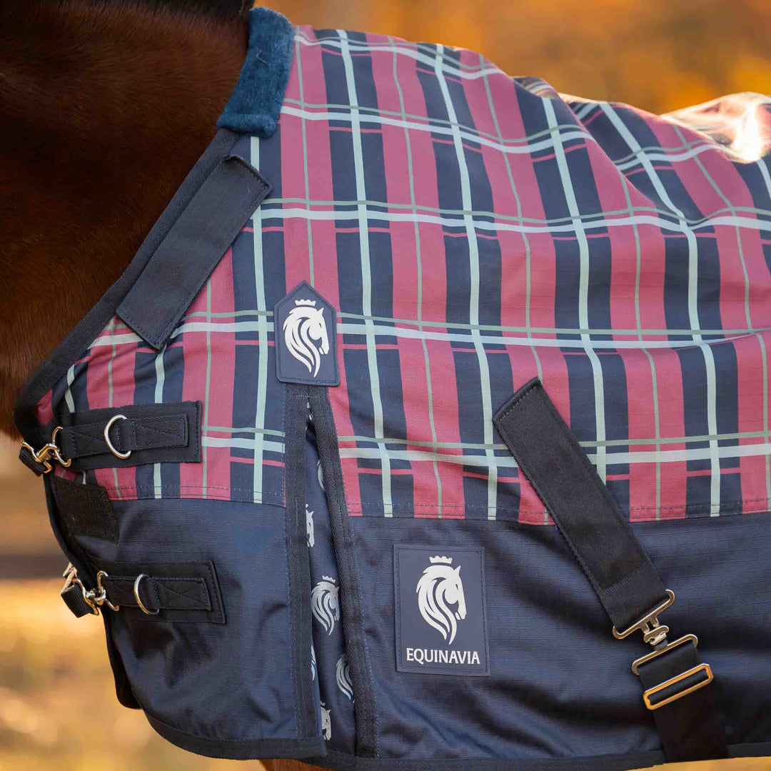 Equinavia Norse Pony Turnout Blanket 300g image 