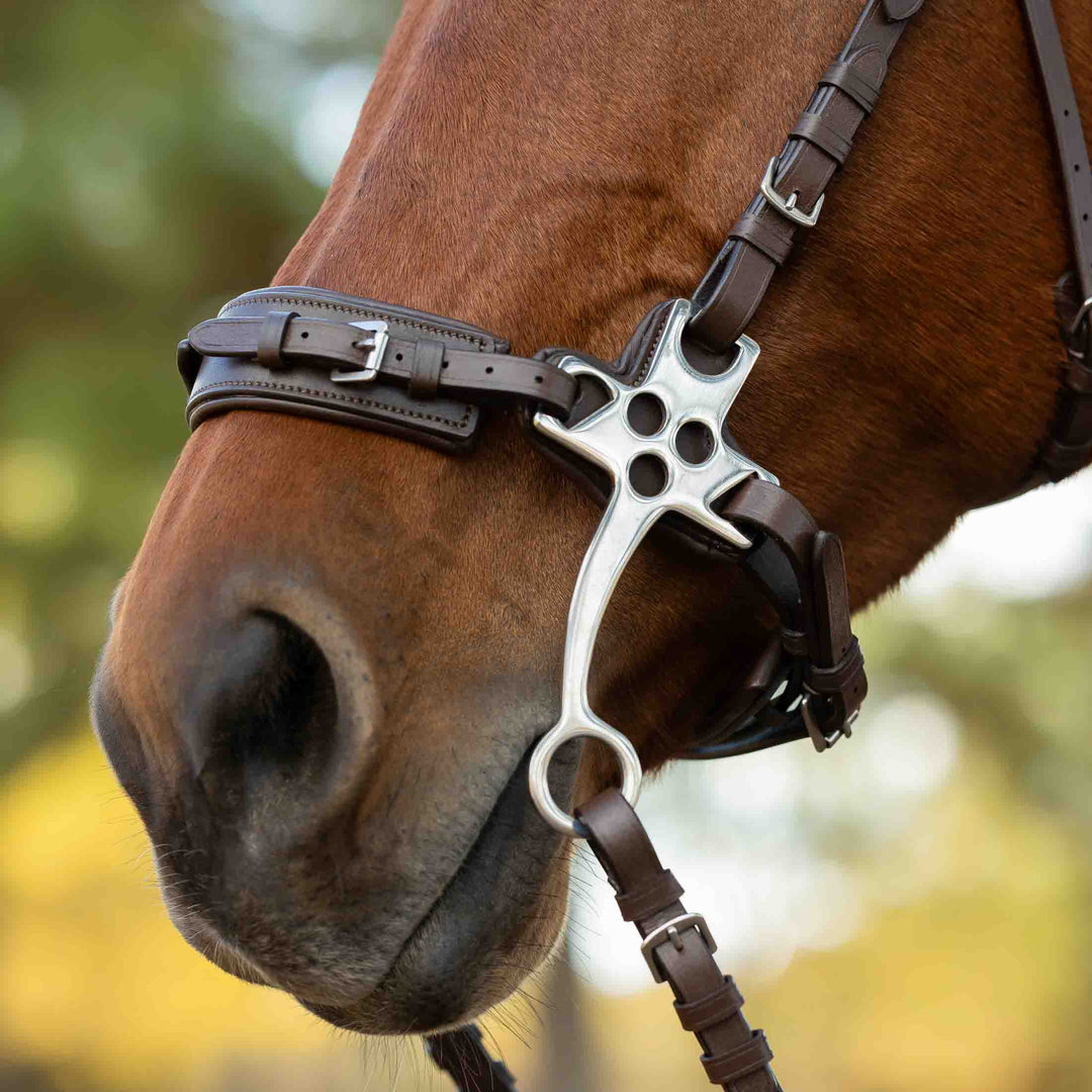 Equinavia Saga Hackamore Bridle with Rubber Reins image 