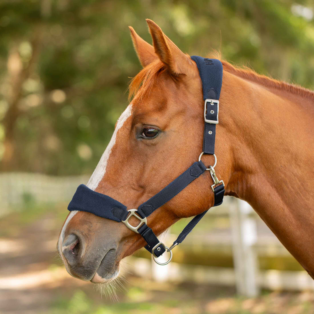 Equinavia Saga Fleece Padded Breakaway Halter image #1