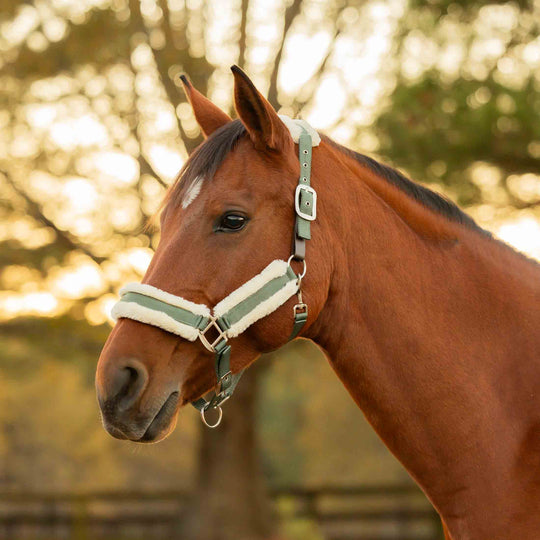 Equinavia Valkyrie Ultra Fleece Breakaway Halter image 
