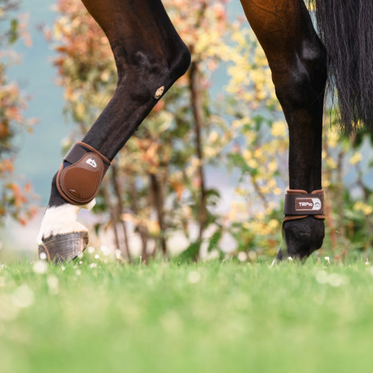 Veredus TR Pro Rear Fetlock Boots image 