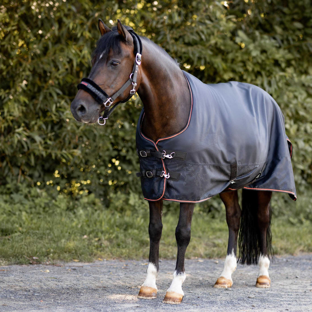 Horze Pegasus Pony Fleece Lined Turnout Blanket image 