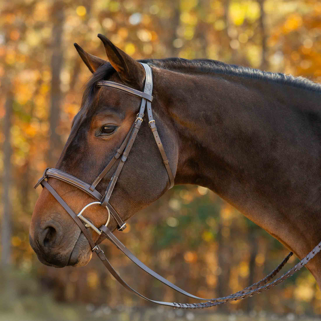 Equinavia Saga Fancy Stitch Detachable Flash Noseband image #1