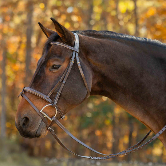 Equinavia Saga Fancy Stitch Detachable Flash Noseband image 