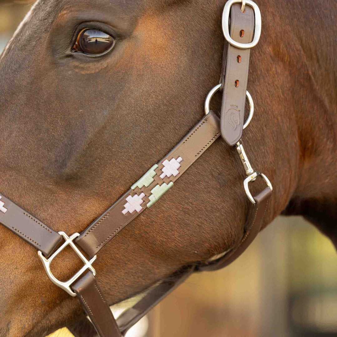 Equinavia Siri Polo Leather Halter image 