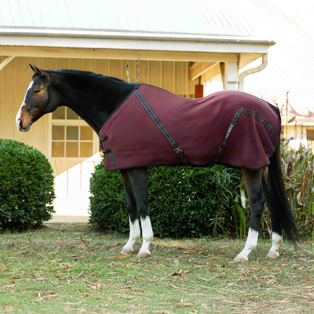 Equinavia Fryd Cotton Stable Sheet image #1