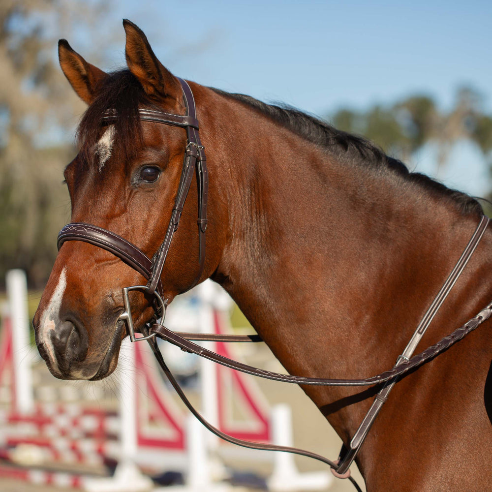 Equinavia Valkyrie Fancy Stitched Standing Martingale image #2