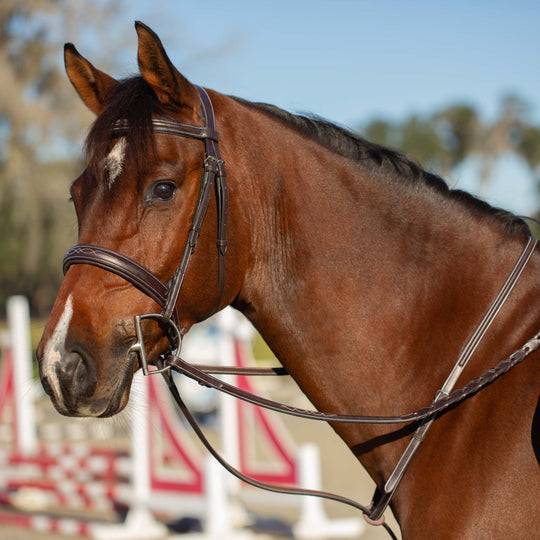 Equinavia Valkyrie Fancy Stitched Standing Martingale image 