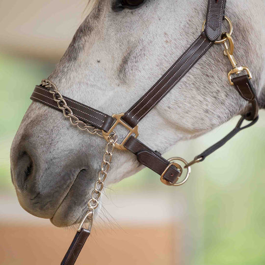 Equinavia Saga 35 Feet Lunge Line with Chain image 