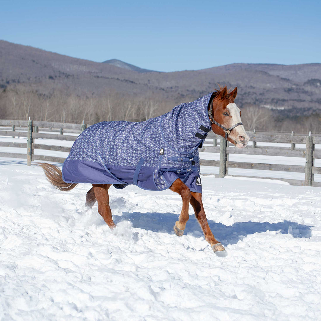 Equinavia Arktis Turnout Neck Cover No Fill image 