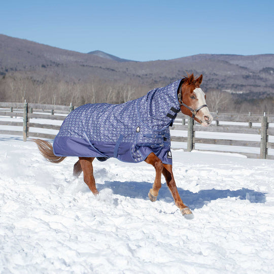 Equinavia Arktis Turnout Neck Cover No Fill image 