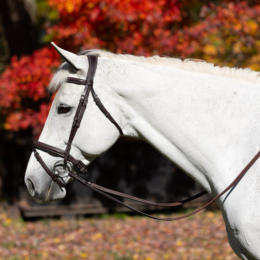 Equinavia Valkyrie Fancy Stitched Jumper Bridle & Rubber Reins image #1