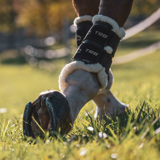 Veredus TRB Save the Sheep Front Turnout Boots image 