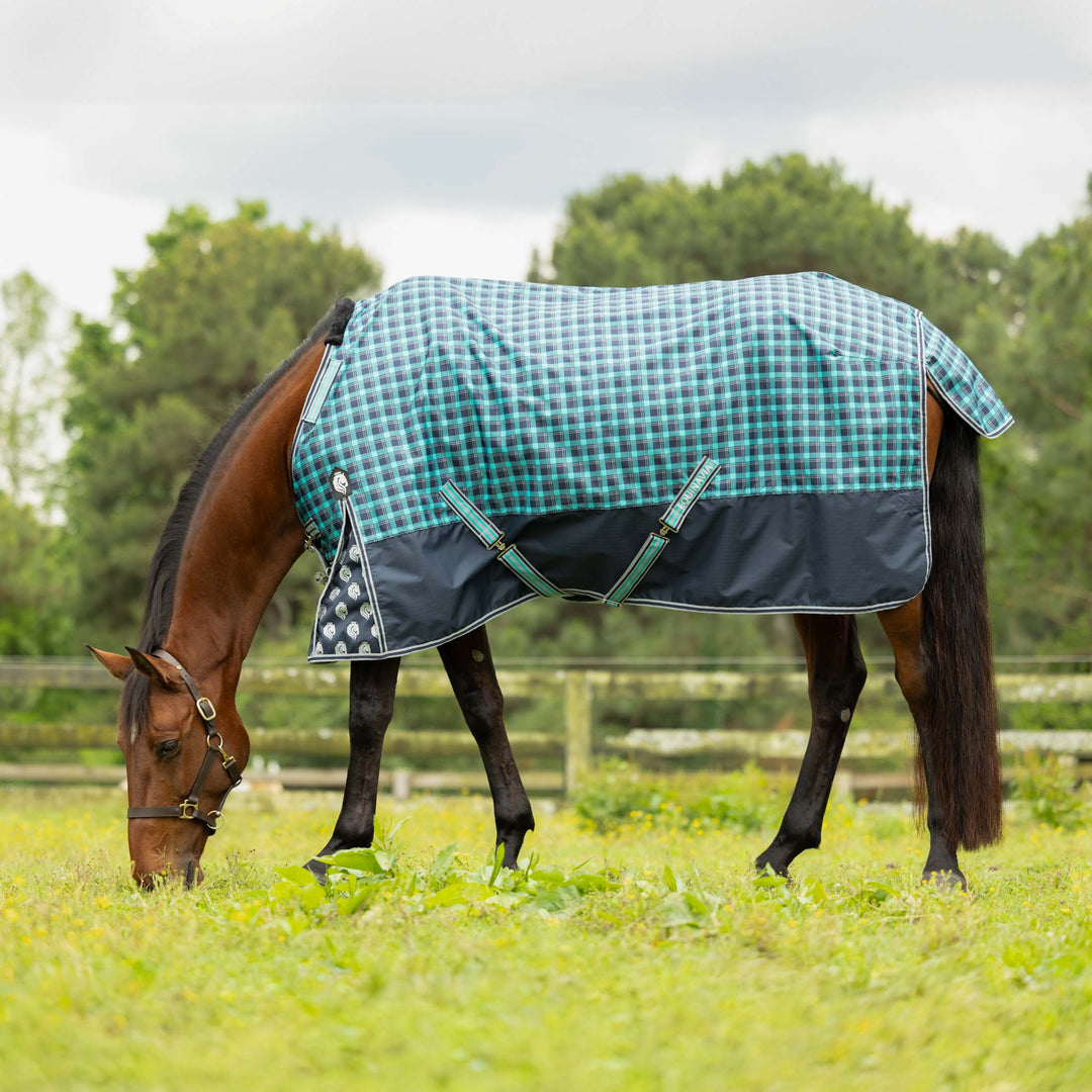 Equinavia Norse Light Weight Turnout Blanket 100g image #1