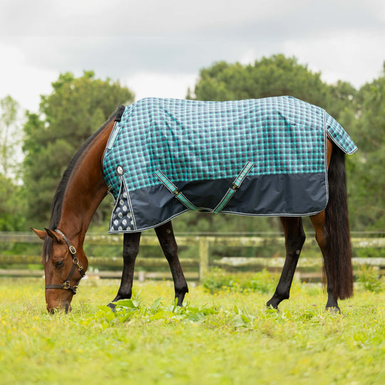 Equinavia Norse Light Weight Turnout Blanket 100g image 
