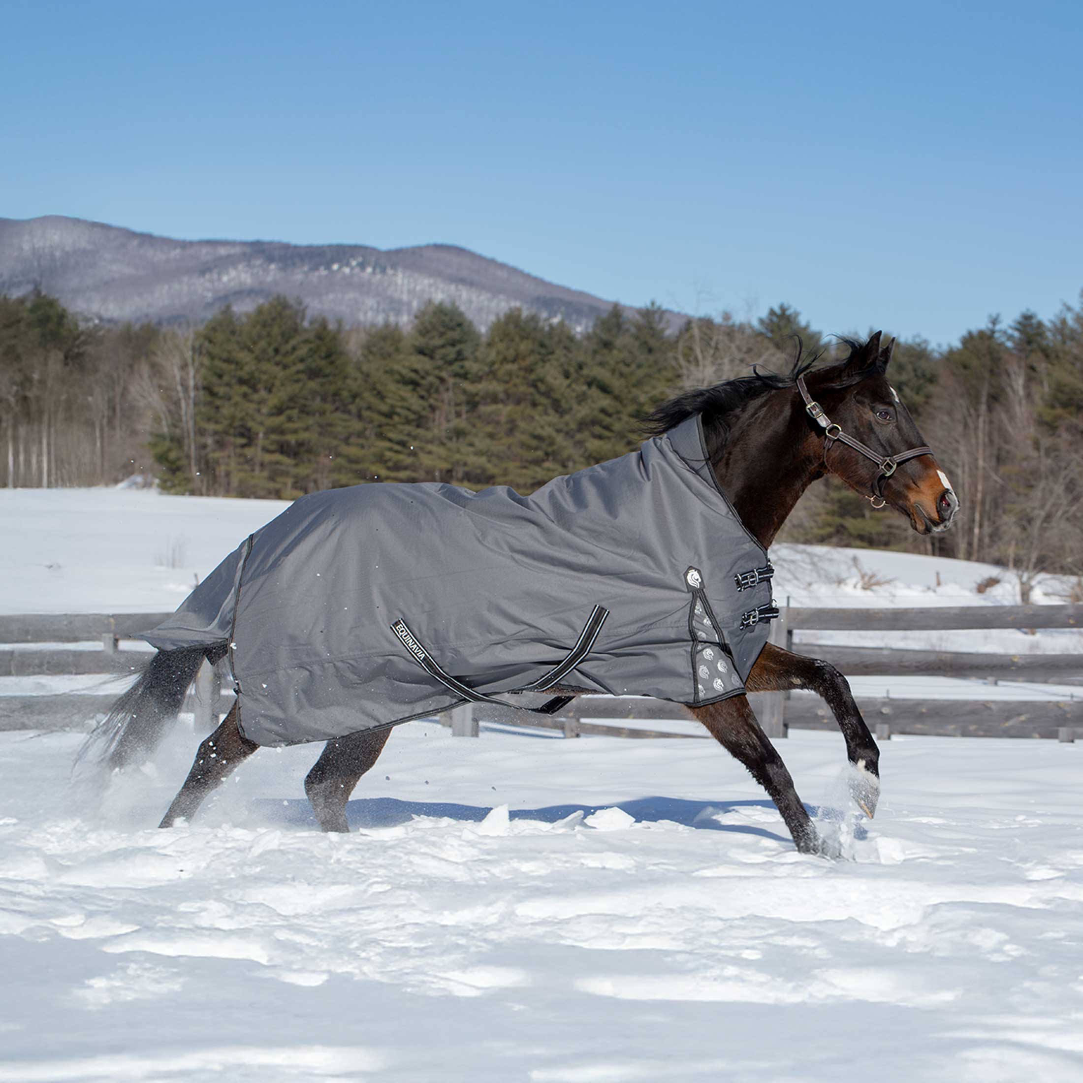 Equinavia Arktis Extended Neck Mid Weight Turnout Blanket 200g image #1
