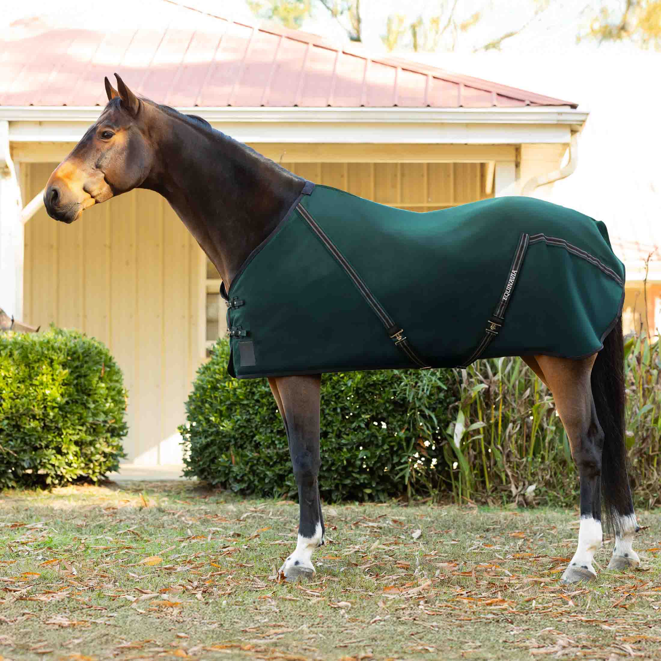Equinavia Fryd Cotton Stable Sheet image #1