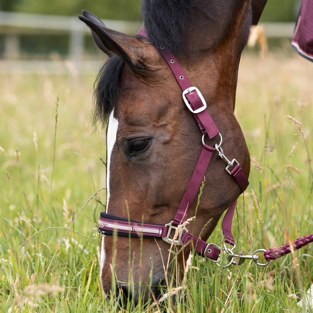 Horze Physical Sophistication Halter and Lead Set image 
