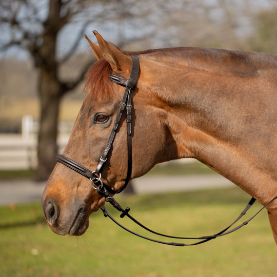 Equinavia Saga Bitless Bridle image 