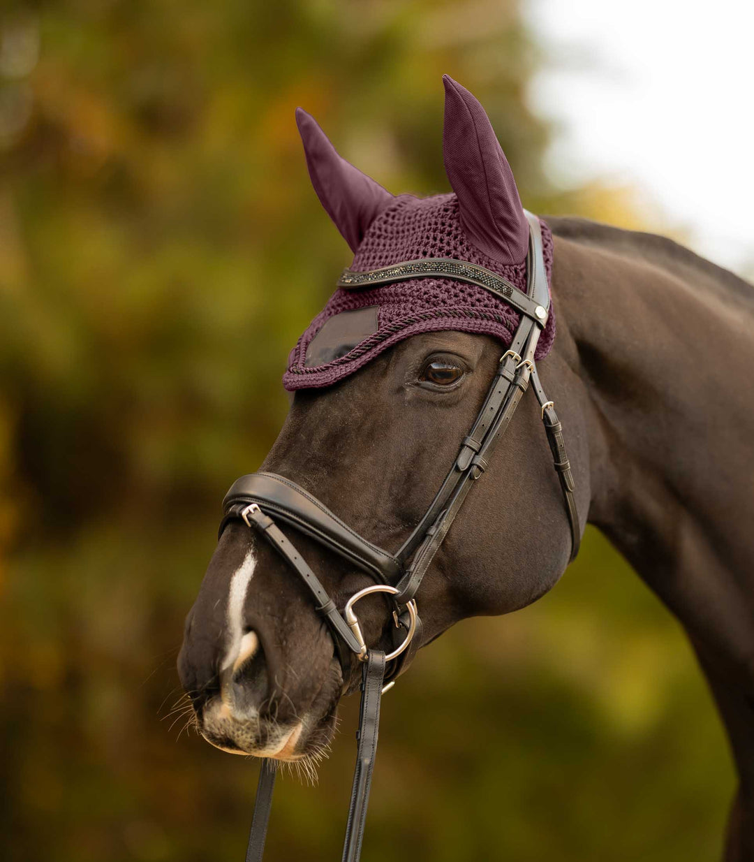 Equinavia Copenhagen Ear Net image 