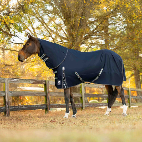 Equinavia Arktis Regular Neck Mid Weight Turnout Blanket 200g image 