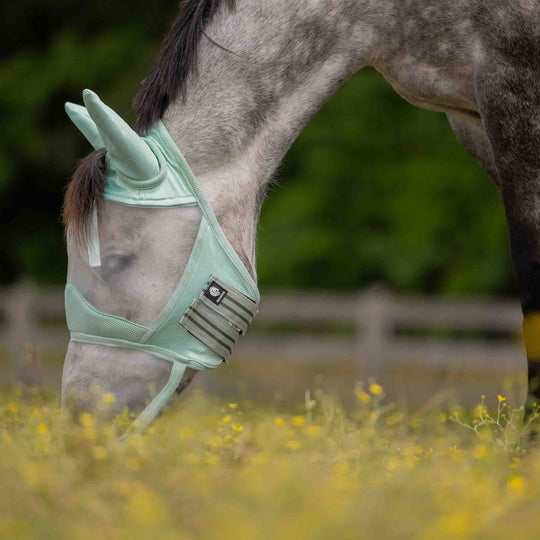 Equinavia Algard Soft Mesh Long Nose Fly Mask image 