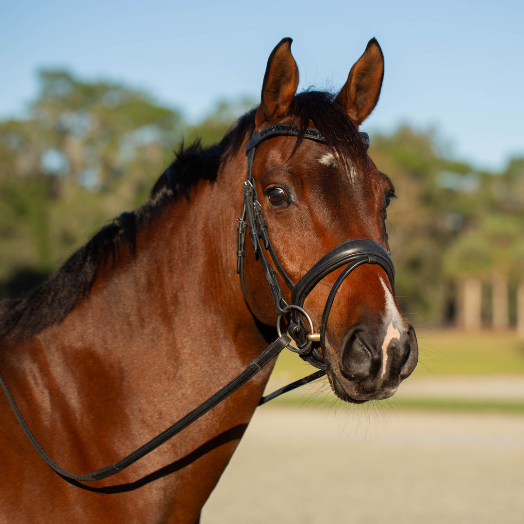 Equinavia Valkyrie Anatomic Dressage Bridle with Rubber Reins image 