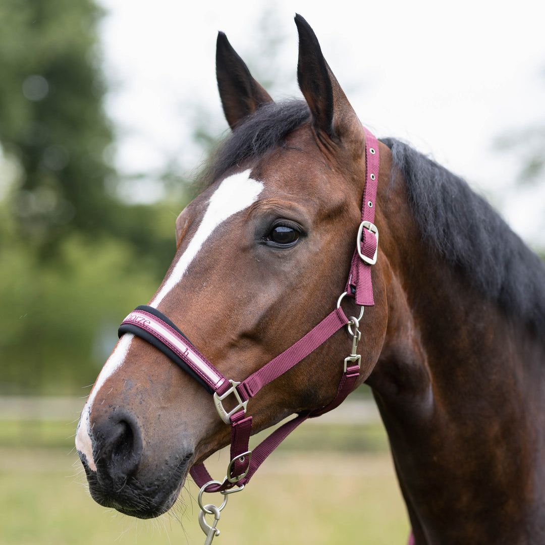 Horze Physical Sophistication Halter and Lead Set image 