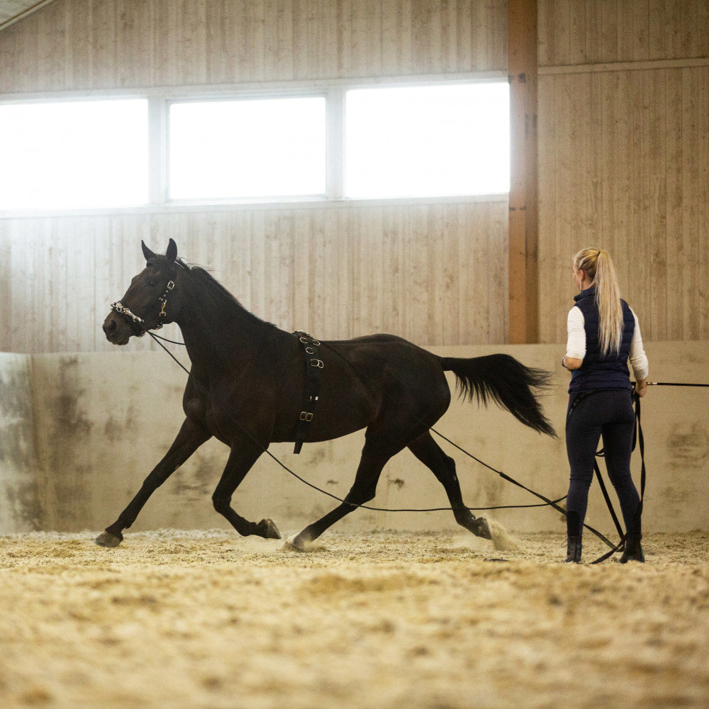 Horze Lunging Surcingle Nylon image #2