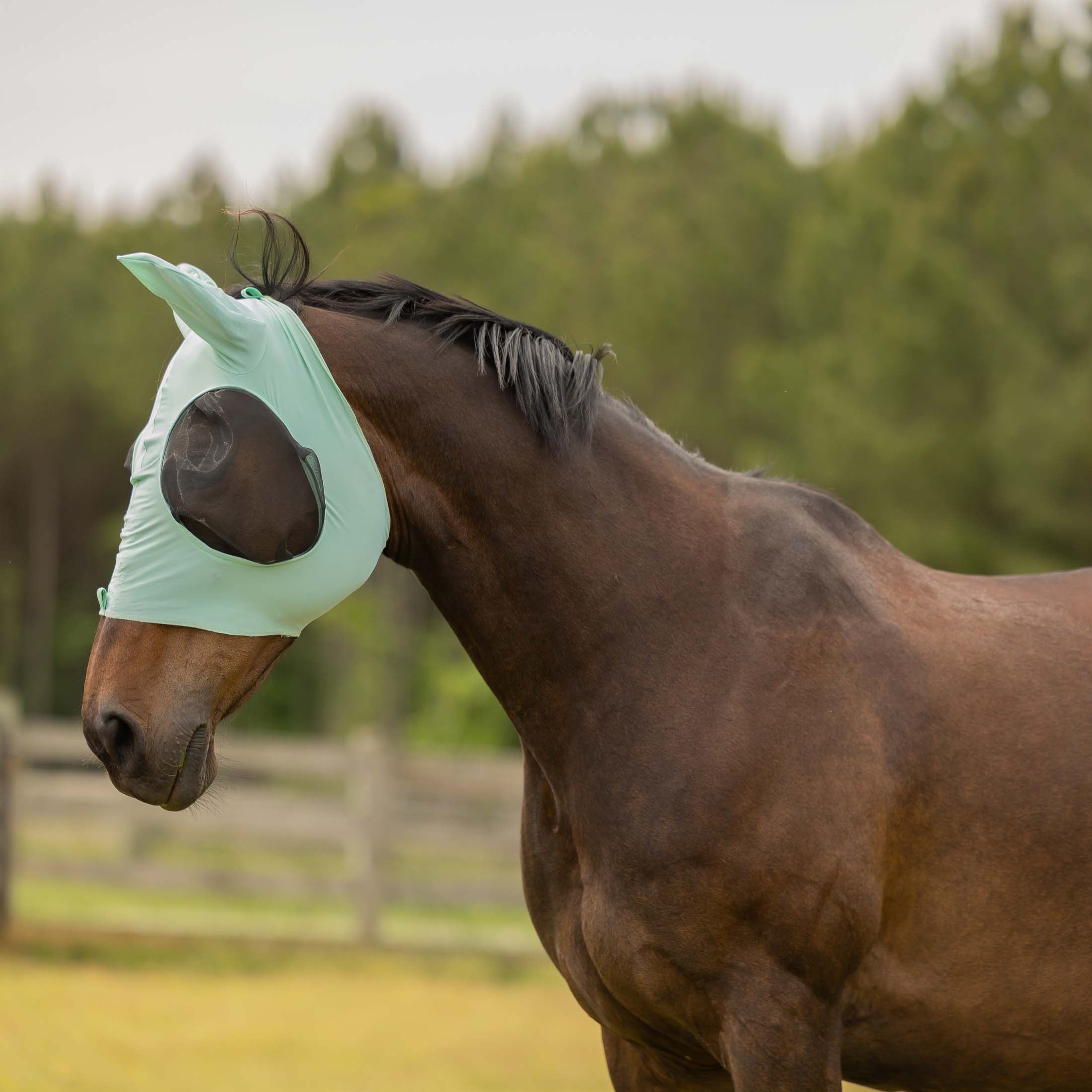 Equinavia Bug Out Fly Mask image #1